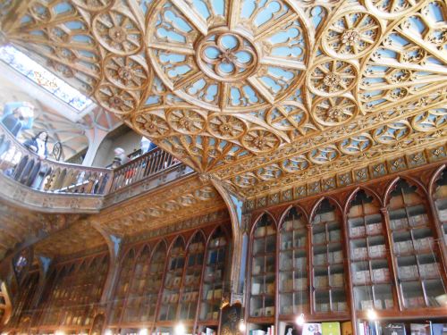 Il soffitto art-nouveau e i libri antichi in esposizione